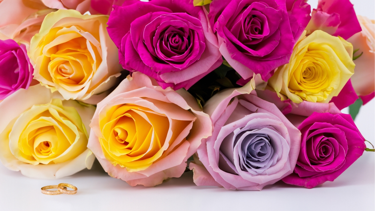 Qual flor representa o amor? Descubra a flor ideal para expressar seus sentimentos